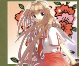 BUY NEW seto no hanayome - 142910 Premium Anime Print Poster